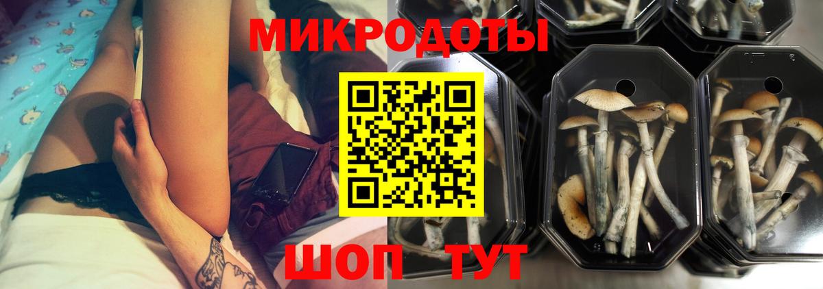 Асино  как найти   Вход с VPN  Псилоцибиновые грибы MAGIC MUSHROOMS 